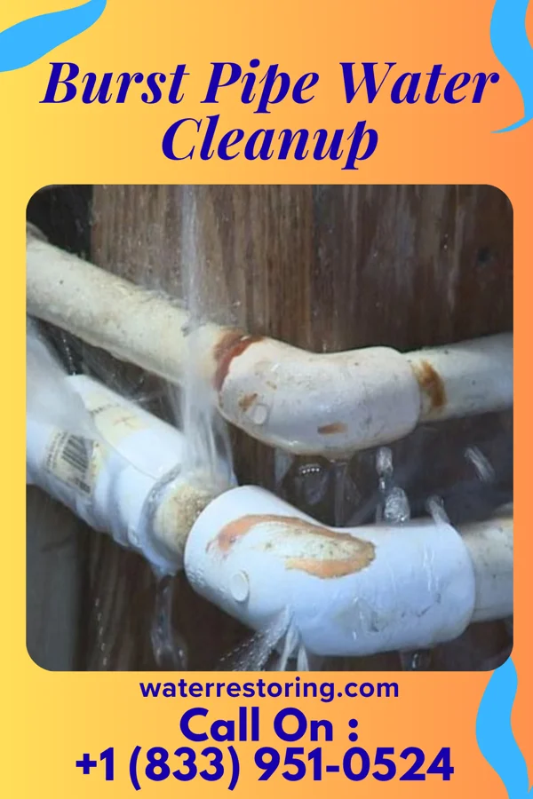 Burst Pipe Water Cleanup in Wellsville, KS