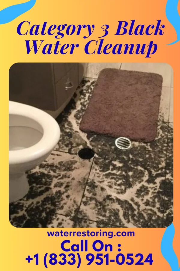 Category 3 Black Water Cleanup in Wellsville, KS