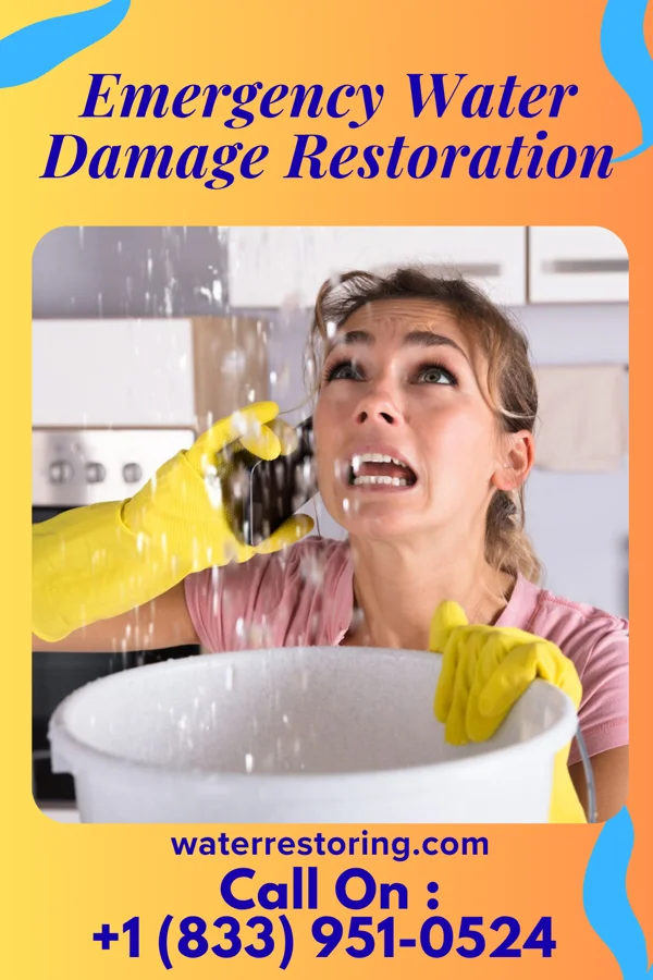 Emergency Water Damage Restoration in Wellsville, KS