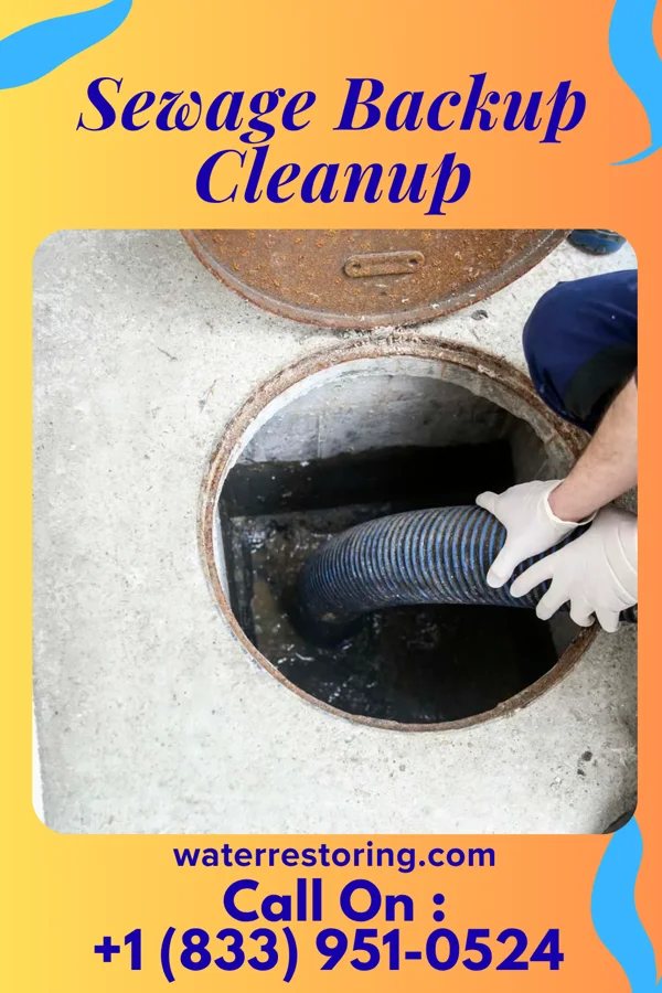 Sewage Backup Cleanup in Wellsville, KS