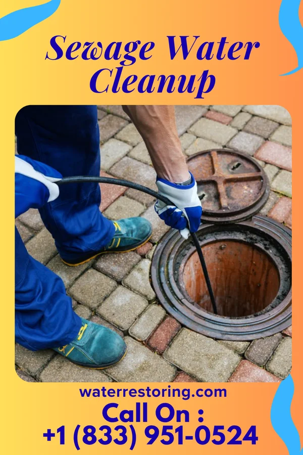 Sewage Water Cleanup in Wellsville, KS