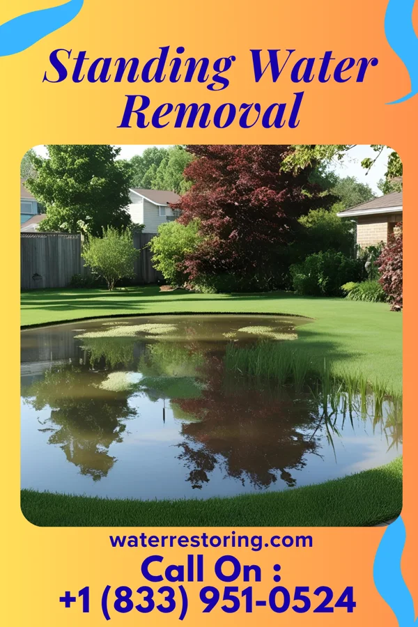 Standing Water Removal in Wellsville, KS